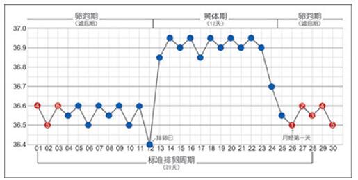 QQ截圖20151221155841.jpg