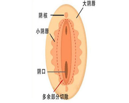 女人全身G點透視圖(一碰就顫栗)