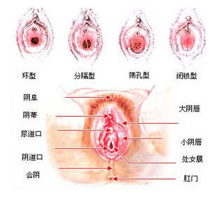 女人愛液分泌多少啪啪時不會疼痛