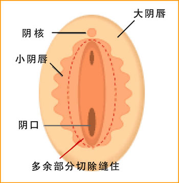 兩性