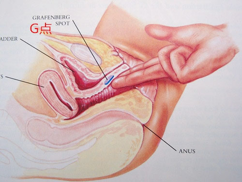 女性自述陰蒂高潮的真實感覺