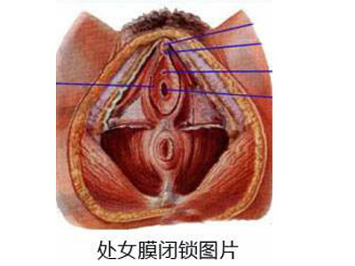 未標題-61.jpg