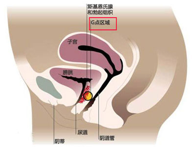 未標題-59.jpg