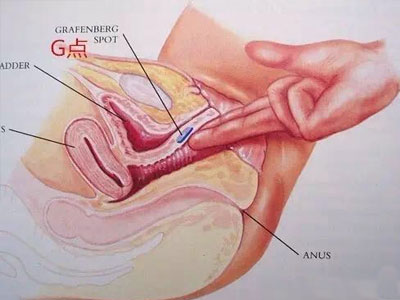 圖解G點在陰道哪 怎樣刺激易高潮